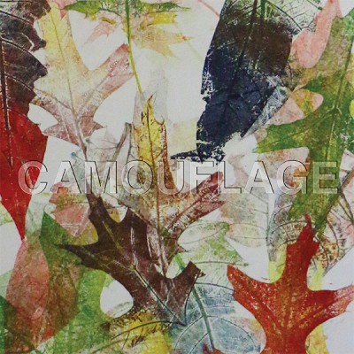 Camouflage